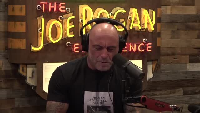 ‘He Could Be President’: Joe Rogan Says Hunter Biden’s ‘a Lot Smarter than People Give Him Credit For’